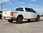 2019 F-150 Thumbnail 2