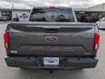 2020 F-150 Thumbnail 4