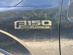 2020 F-150 Thumbnail 5
