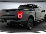 2020 F-150 Thumbnail 6