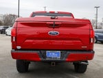 2020 F-150 Thumbnail 12