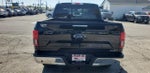 2020 F-150 Thumbnail 8