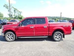2019 F-150 Thumbnail 2