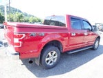 2019 F-150 Thumbnail 6