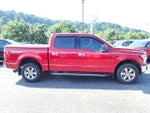 2019 F-150 Thumbnail 7