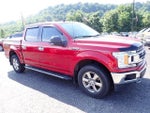 2019 F-150 Thumbnail 8