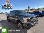 2019 F-150 Thumbnail 4