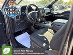 2019 F-150 Thumbnail 13