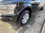 2019 F-150 Thumbnail 8