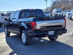 2019 F-150 Thumbnail 6