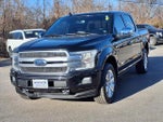2019 F-150 Thumbnail 8