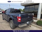 2019 F-150 Thumbnail 4