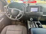 2019 F-150 Thumbnail 10