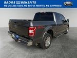 2019 F-150 Thumbnail 4
