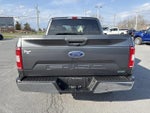 2020 F-150 Thumbnail 5