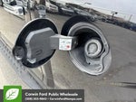 2020 F-150 Thumbnail 10