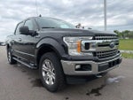 2020 F-150 Thumbnail 1