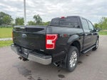 2020 F-150 Thumbnail 9