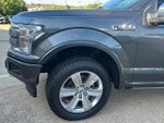 2020 F-150 Thumbnail 5