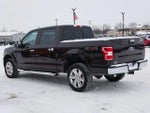 2020 F-150 Thumbnail 6