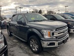 2019 F-150 Thumbnail 3
