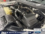 2019 F-150 Thumbnail 33