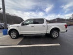 2019 F-150 Thumbnail 4