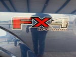 2019 F-150 Thumbnail 10