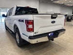 2020 F-150 Thumbnail 6