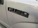 2020 F-150 Thumbnail 10