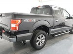 2020 F-150 Thumbnail 9