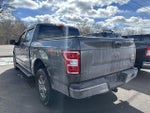 2020 F-150 Thumbnail 4