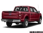 2019 F-150 Thumbnail 2