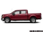 2019 F-150 Thumbnail 3