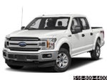 2019 F-150 Thumbnail 4