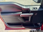 2019 F-150 Thumbnail 25