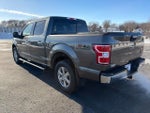 2019 F-150 Thumbnail 3