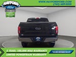 2019 F-150 Thumbnail 4