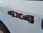 2019 F-150 Thumbnail 7