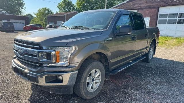 Preowned 2019 Ford F-150 XL for Sale