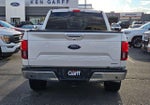 2019 F-150 Thumbnail 4