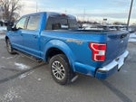 2019 F-150 Thumbnail 5