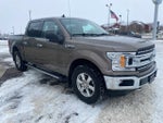 2019 F-150 Thumbnail 3