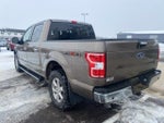 2019 F-150 Thumbnail 7