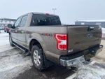 2019 F-150 Thumbnail 7
