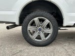 2019 F-150 Thumbnail 11