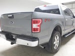 2019 F-150 Thumbnail 4