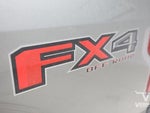 2019 F-150 Thumbnail 10
