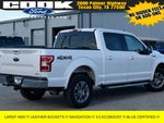 2019 F-150 Thumbnail 6
