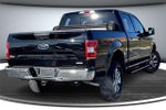 2019 F-150 Thumbnail 6